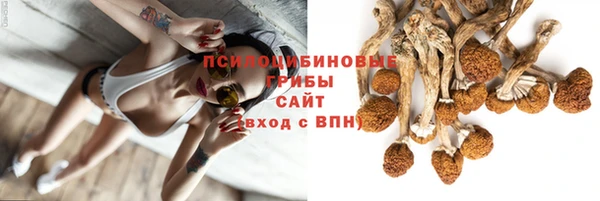 гидра Горняк