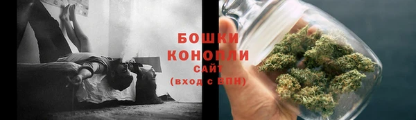 гидра Горняк