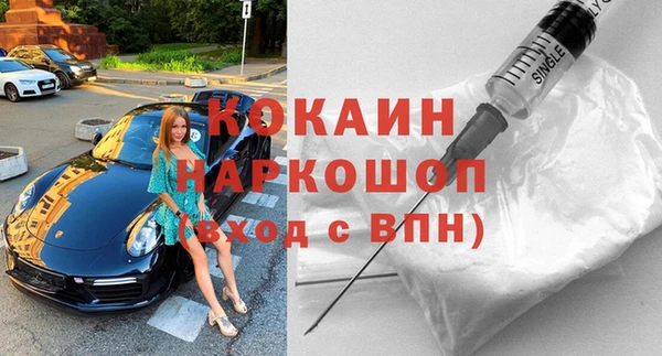 гидра Горнозаводск
