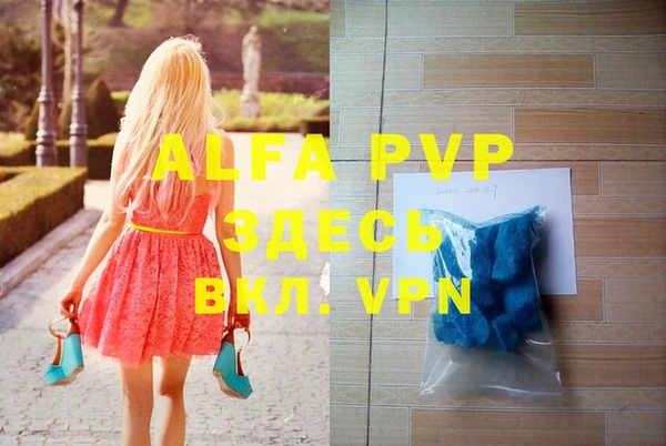гидра Горняк