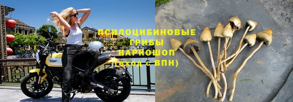 прущие крисы Струнино