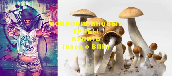 твердый Магадан