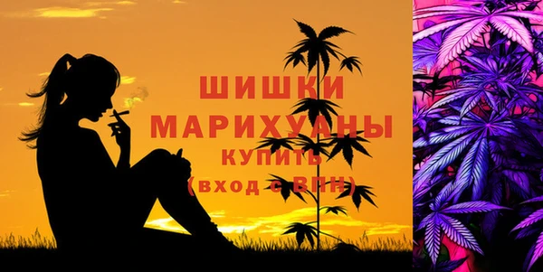 стаф Майский
